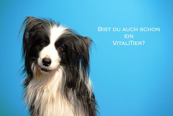 Bist du auch schon ein VitaliTier?