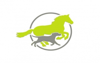 VitaliTier Logo