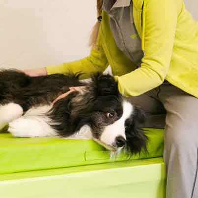 2. Leistungen: Osteopathie mit Cranio-Sacral-Therapie