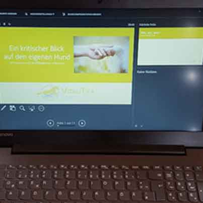 8. Leistungen: Kurse & Workshops / physioth. Ankaufsuntersuchung / Turnierbegleitung