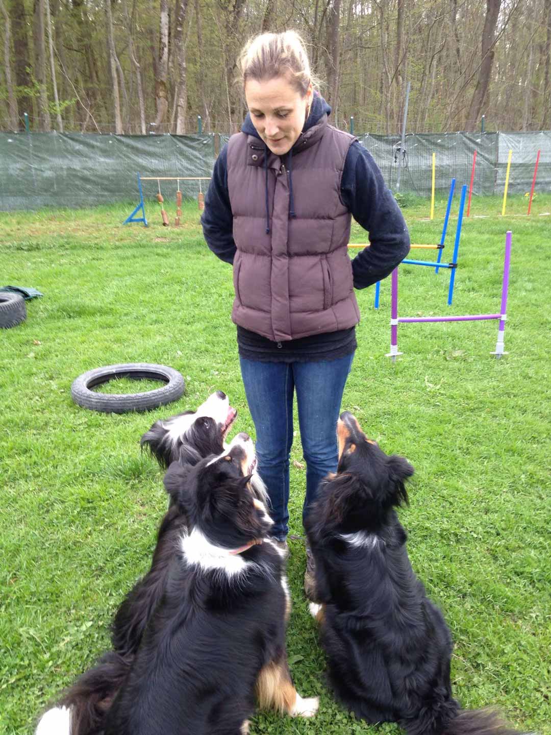 Beobachten unserer Hunde als wichtige Möglichkeit der Schmerzerkennung