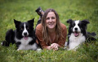 2 kranke Hunde - Ideen zur Beschäftigung Hund