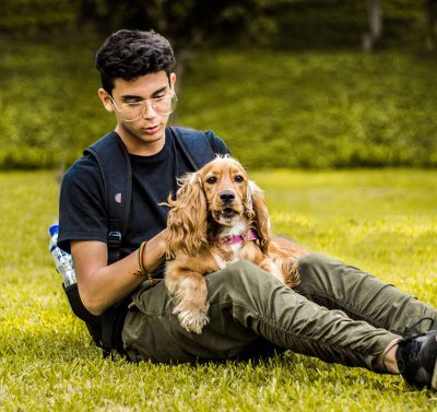 Entspannungsübungen für Hunde und ihre Halter können auch einfach sein.