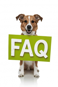 Häufige Fragen (FAQs) zu Hunde-Fitnesstraining