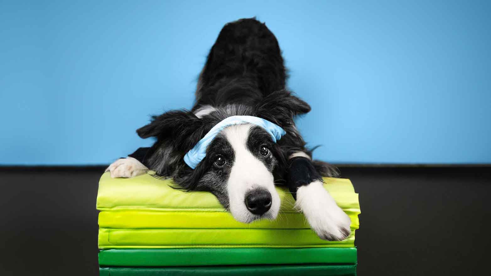 Oldies but Goldies - dein Senior fit & mobil