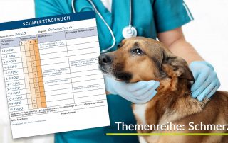 Ein Schmerztagebuch für Hunde mit dem Namen 'Bello' und der Diagnose Osteoarthrose. Das Tagebuch zeigt Datum, Schmerzstärke, Maßnahmen und besondere Beobachtungen. Es ist ein Hund abgebildet, der von einem Tierarzt in blauer Uniform und Handschuhen sanft untersucht wird. Im Hintergrund ist die Aufschrift 'Themenreihe: Schmerz' zu sehen.