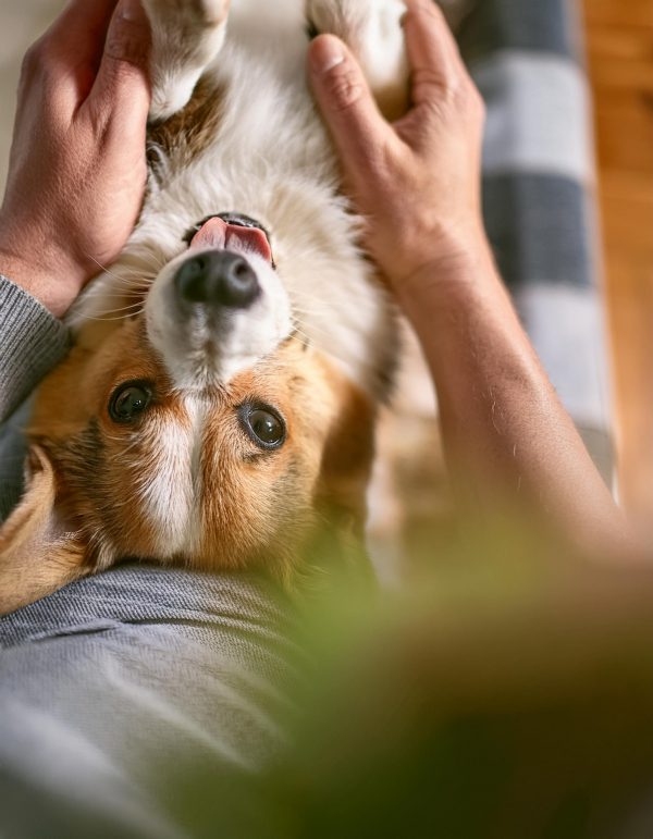 Regelmäßige Einheiten können gut in den Alltag als "Ritual" eingebaut werden. Zum Beispiel auch abends auf der Couch.