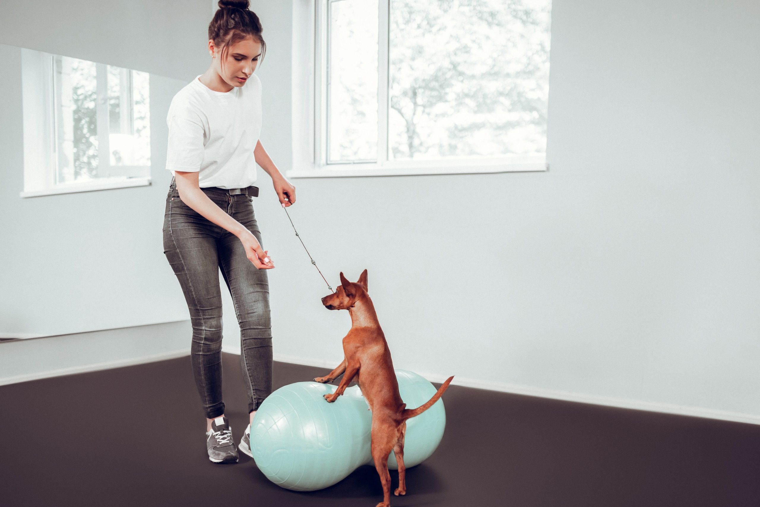 Geräte wie Peanut, Fitbone etc können, müssen aber nicht verwendet werden.