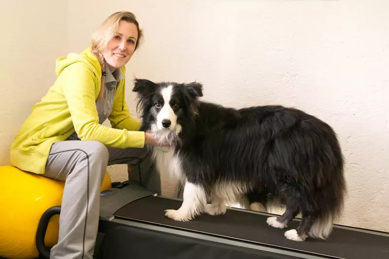 Sport bei Übergewicht beim Hund macht Sinn.