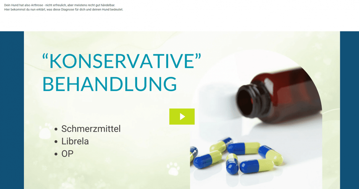 Librela beim Hund Erfahrungen und Alternativen Physiotherapie für Hunde und Pferde