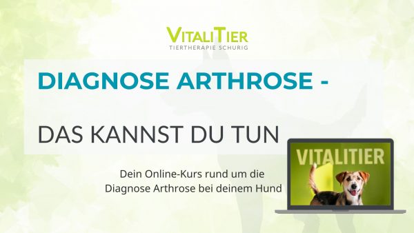 Online Kurs Arthrose Hund