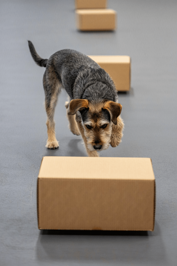 Typische Fehler bei der Nasenarbeit können vermieden werden.