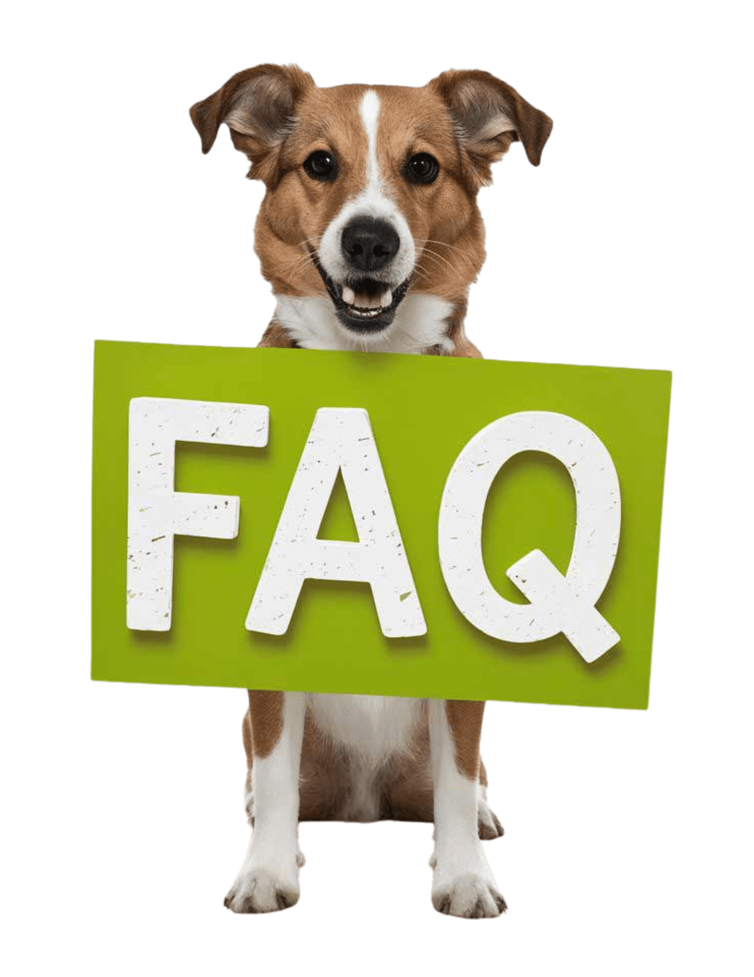 Häufige Fragen Häufige Fragen (FAQs) VitaliTier Gesundheitskursen