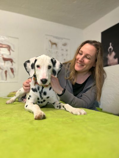 So arbeitet die Praxis VitaliTier, z.B. mit Osteopathie am Hund