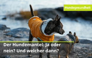 Hundemantel