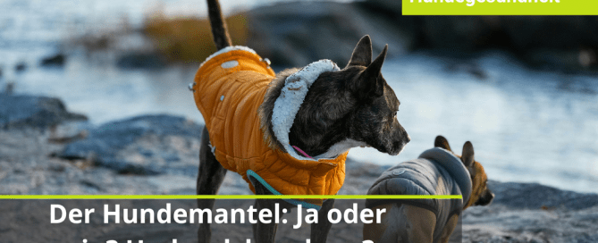 Hundemantel