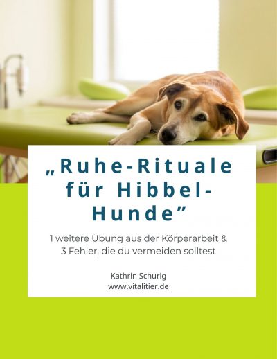 Übungen Ruhe Hund