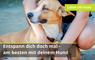 Unruhiger Hund Entspannung bzw. Entspannungsübung