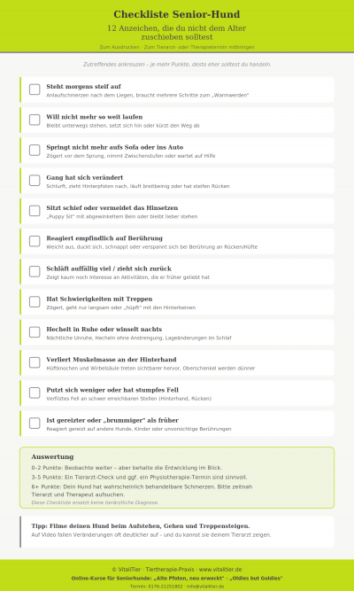 Anzeichen alter Hund