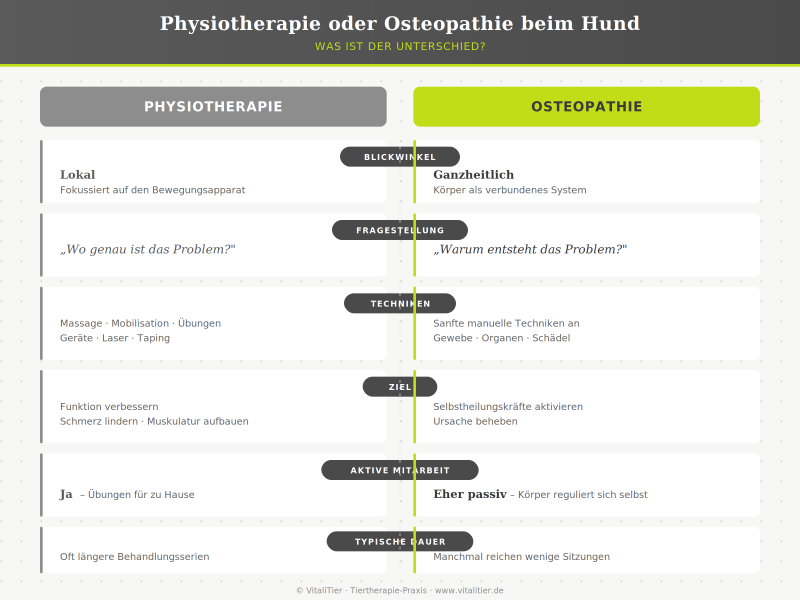 Unterschied Physiotherapie Osteopathie bei Hunden