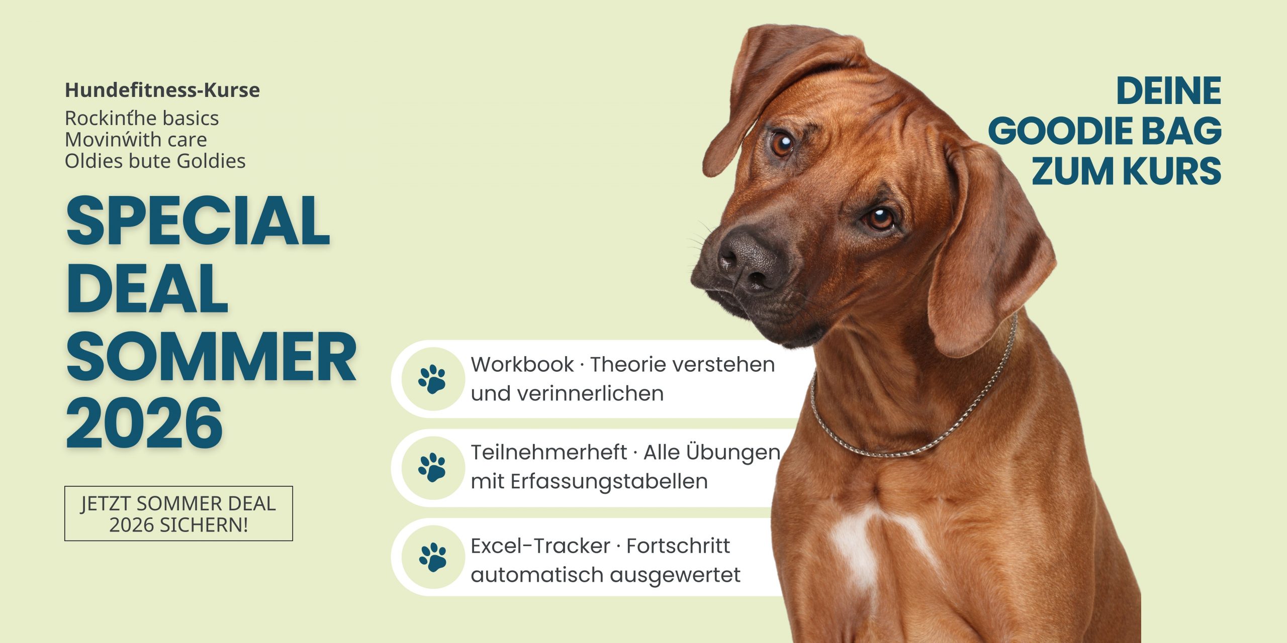 Sommer Deal 2026 Hundefitnesstraining Kurs Übungen Muskelaufbau