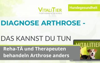 Therapie Arthrose Hund