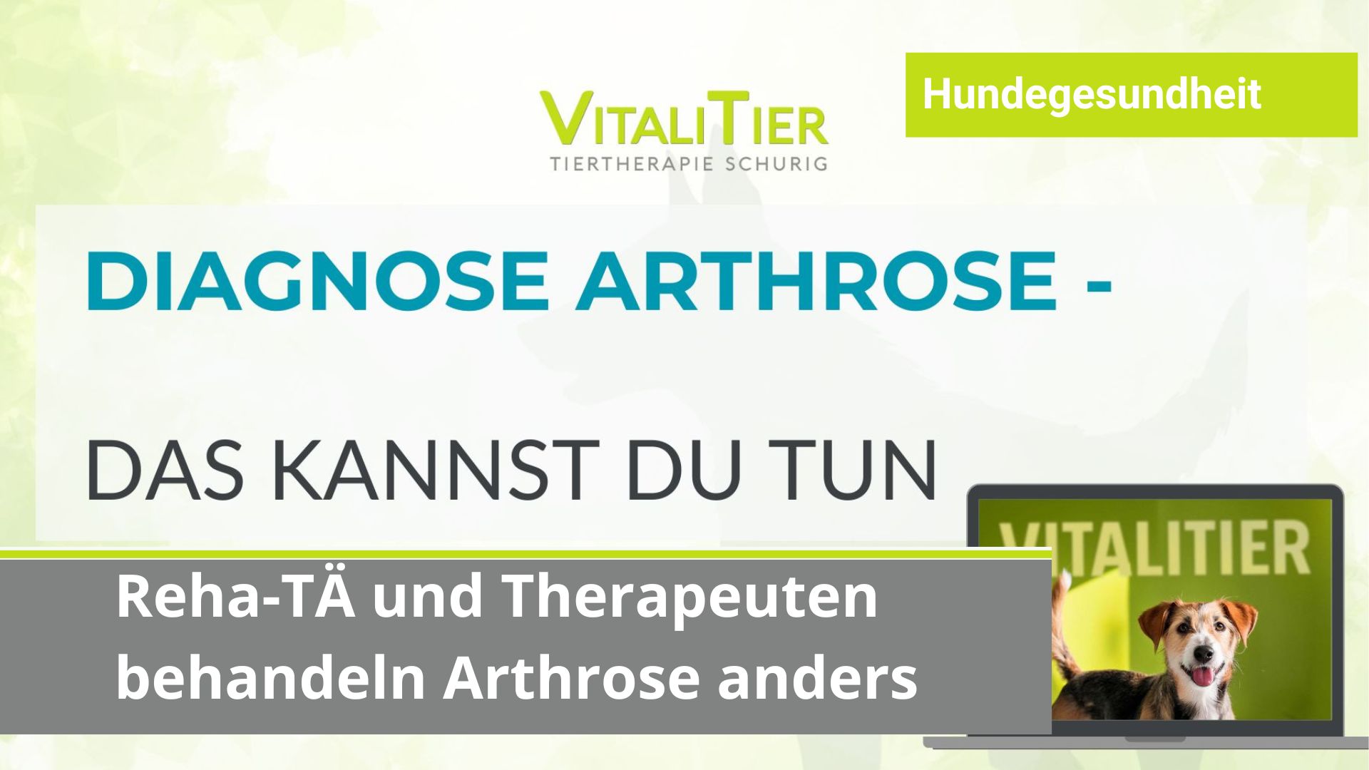 Therapie Arthrose Hund