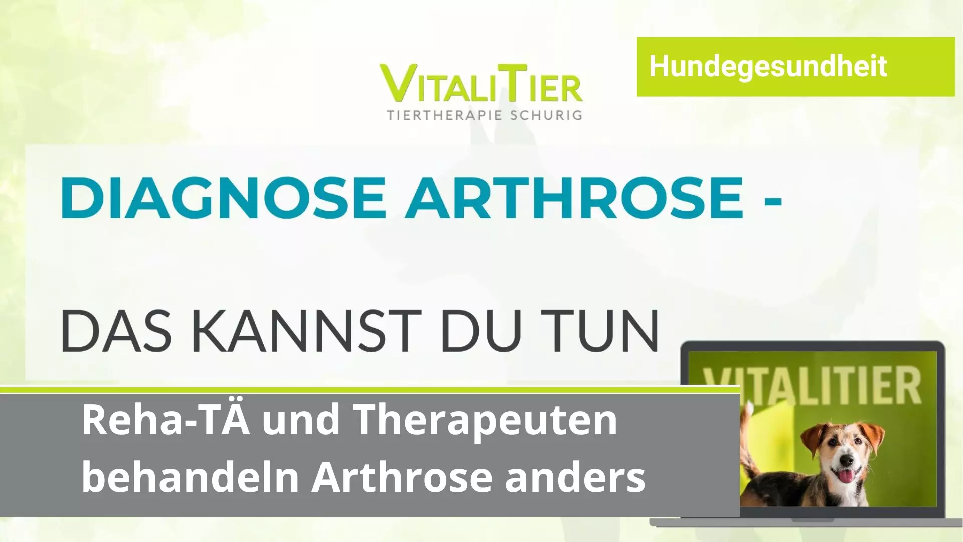 Therapie Arthrose Hund