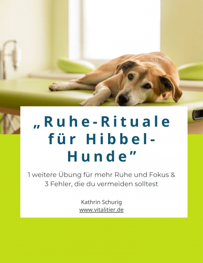 Ruheübung für Hunde