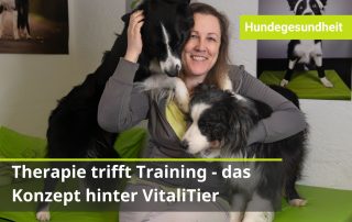Ganzheitliche Hundephysiotherapie