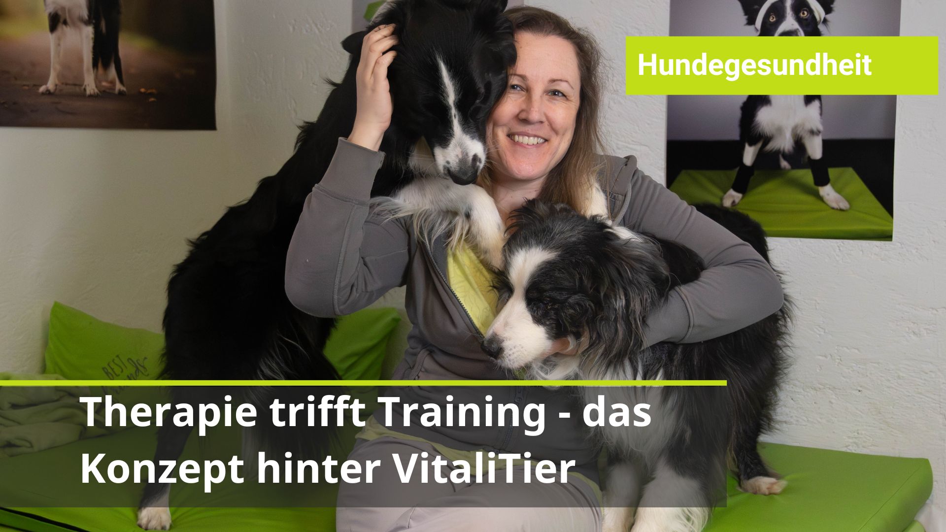 Ganzheitliche Hundephysiotherapie