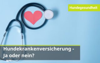 Tierkrankenversicherung