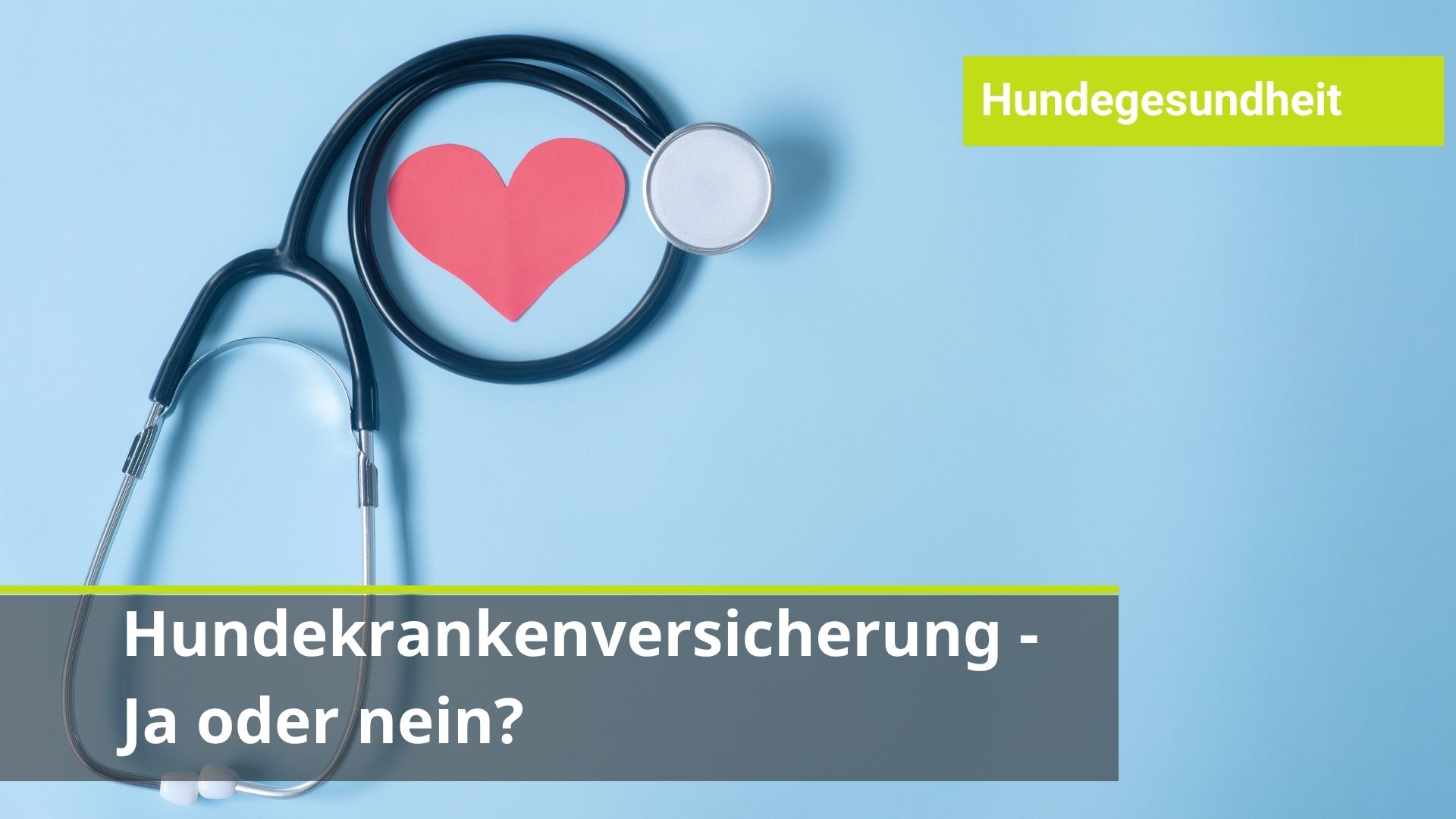 Tierkrankenversicherung