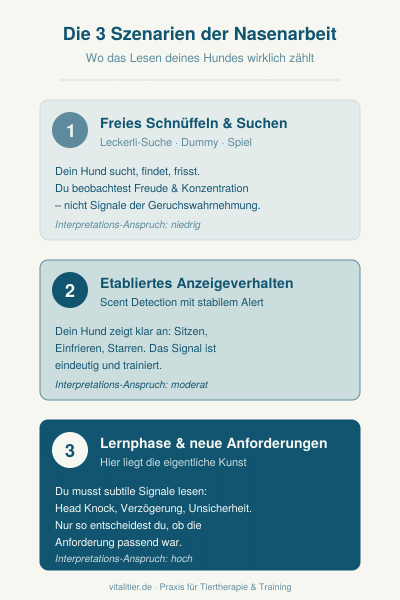 Nasenarbeit in verschiedenen Form mit unterschiedlichen Ansprüchen