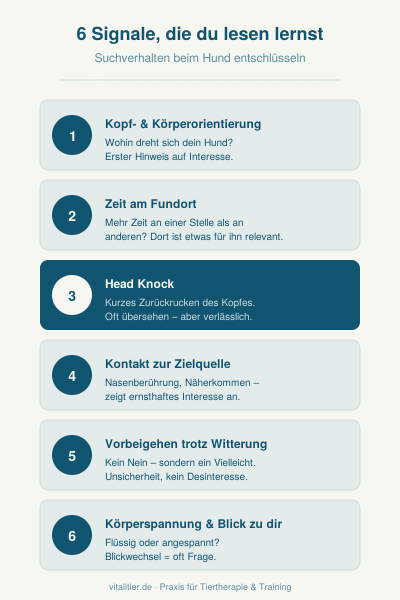 Mögliche Beobachtungspunkte für das Suchverhalten von Hunden bei der Nasenarbeit bzw. Scent Detection
